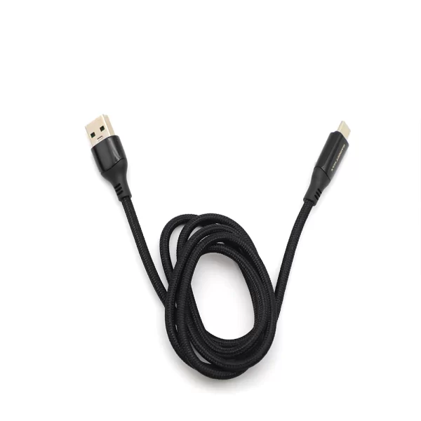 Gadget Max GX20 Type C Cable