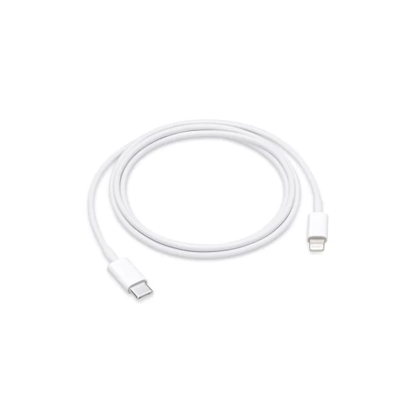 Apple Type C to Lightning Cable (First Copy)