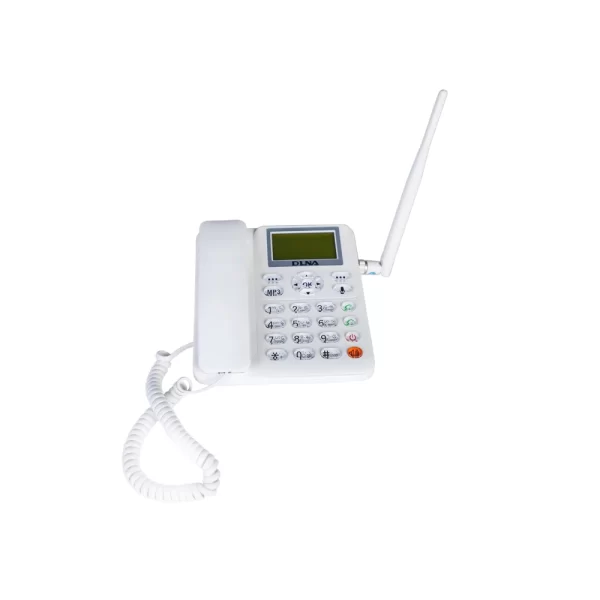 DNLA ZT868G Wireless Phone (GSM Dual SIM)
